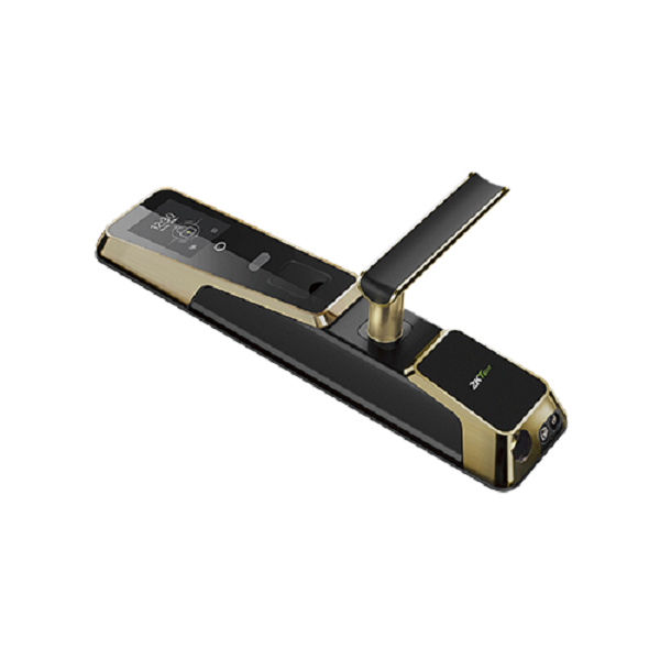 zm100 1.png