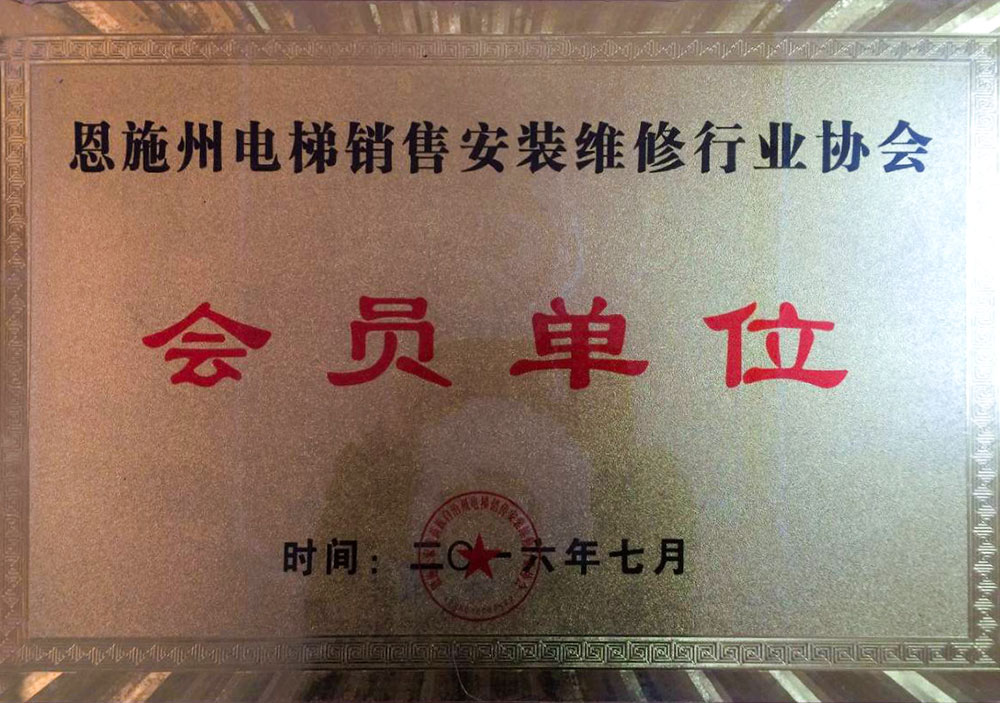 电梯销售安装维修行业协会会员单位.jpg